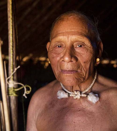 Referência — Retratos do Brasil