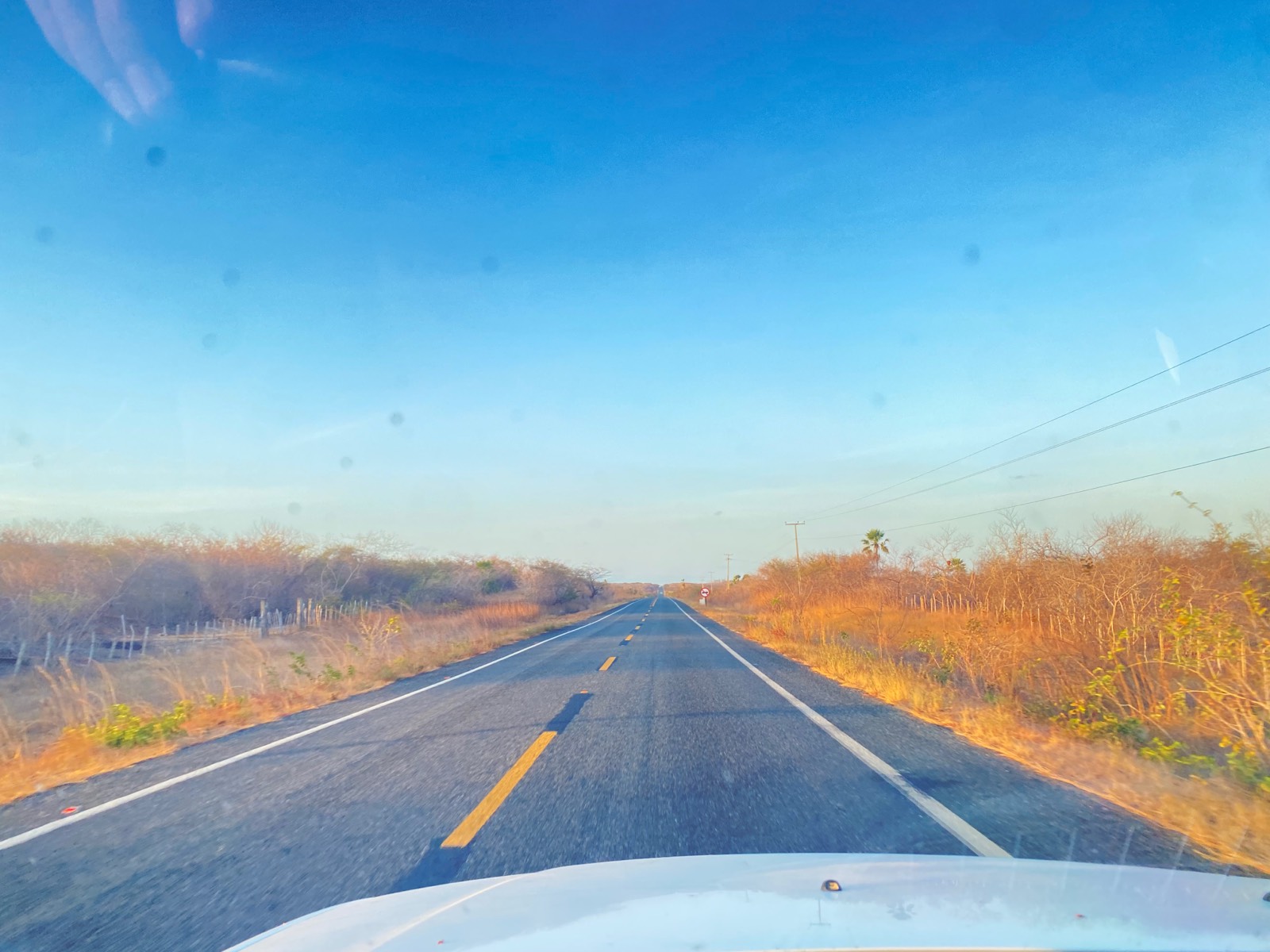 Estrada reta e vazia, luz dourada de fim de tarde